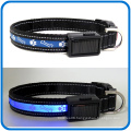 USB Rechargeable Personalized Dog Collars That Light Up